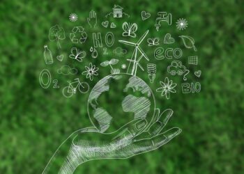 La importancia de la sostenibilidad en el mundo actual