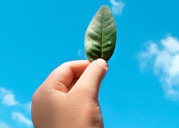 La Importancia de la Sostenibilidad en un Mundo Globalizado