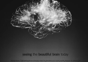 Explorando los Misterios del Cerebro: Experimentación y Avances Científicos