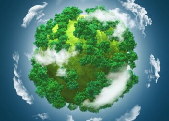 La Importancia de la Sostenibilidad en el Desarrollo Internacional